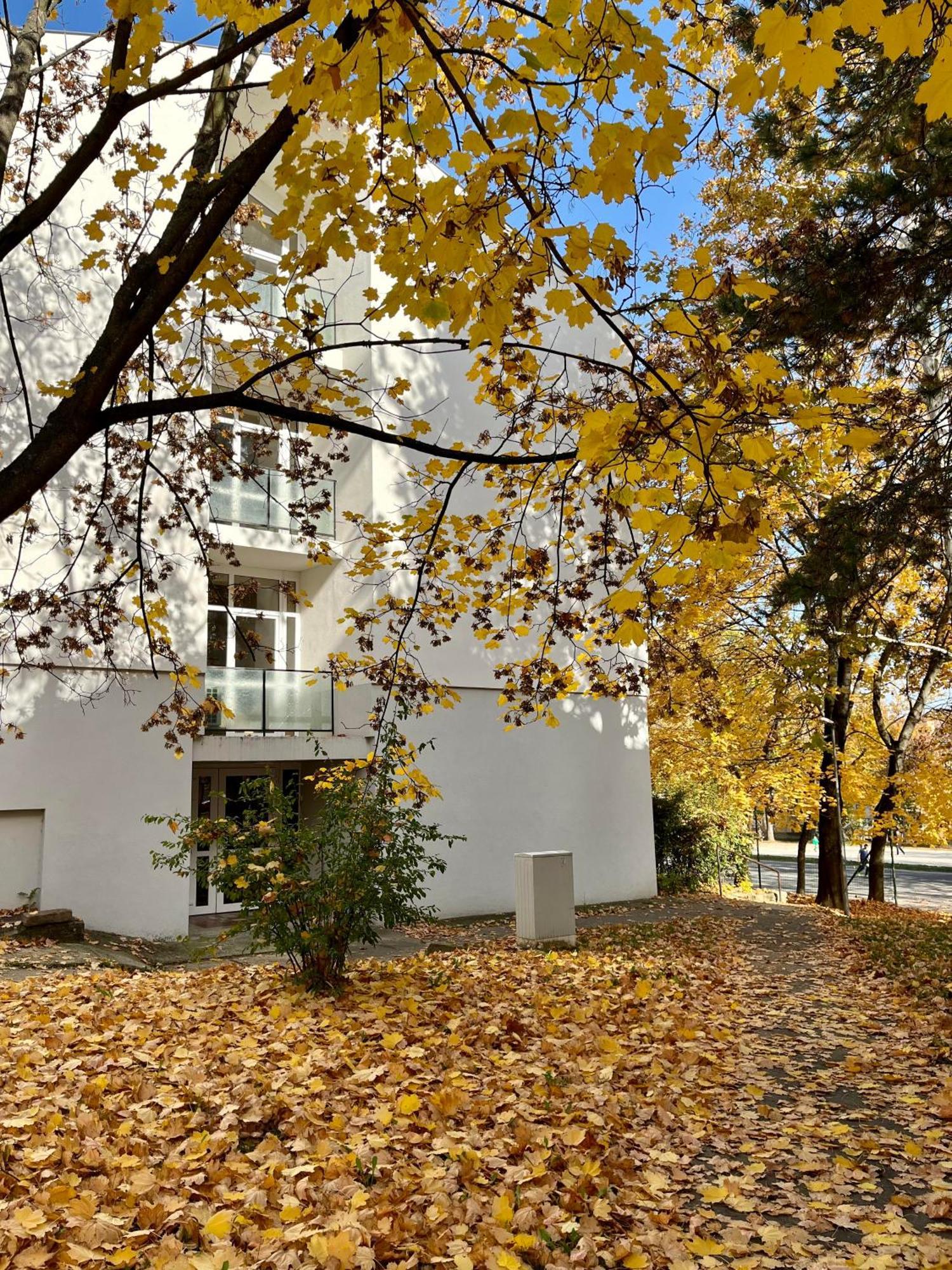 Oázis Apartman Veszprém Exterior foto